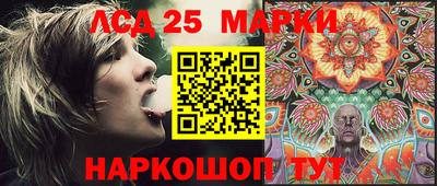 спиды Новозыбков