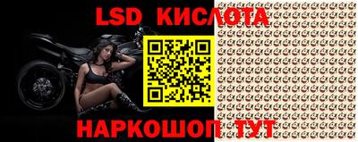 спиды Новозыбков