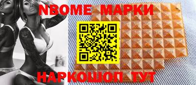индика Новодвинск