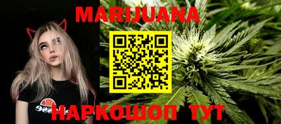 индика Новодвинск