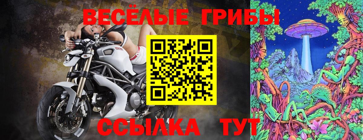 Псилоцибиновые грибы Psilocybine cubensis Таганрог